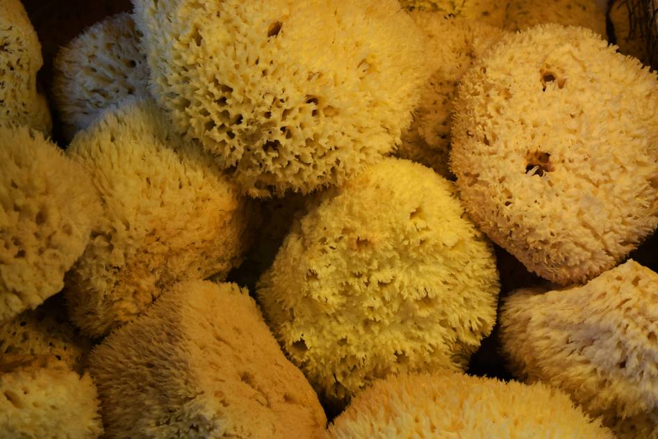 Natural loofah and cellulose sponges on wooden surface