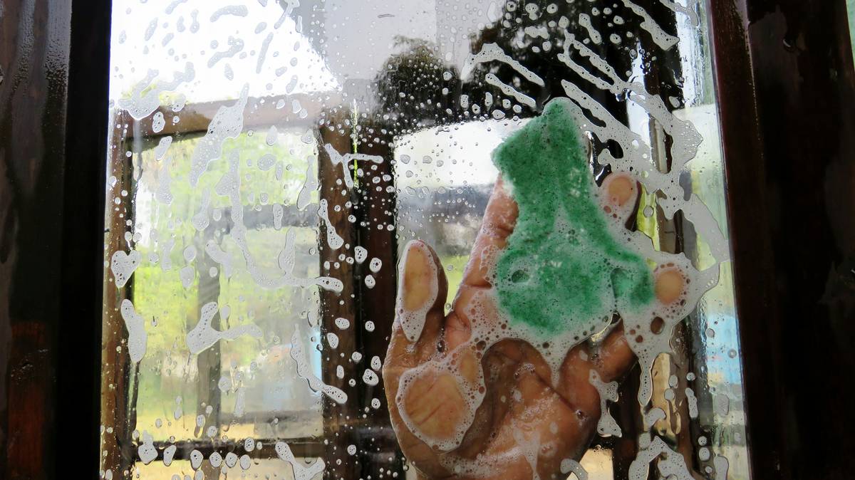 Biodegradable sponge propped vertically on stainless steel stand showing how to dry sponges effectively