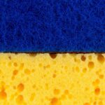 How Do Sponges Regenerate: 7 Proven Ways to Avoid Costly Eco-Cleaning Mistakes