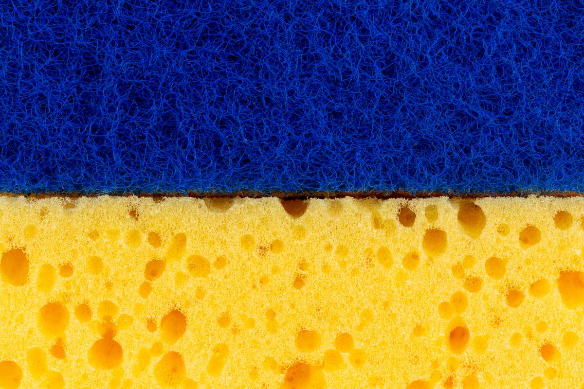 How Do Sponges Regenerate: 7 Proven Ways to Avoid Costly Eco-Cleaning Mistakes