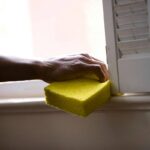 Natural Organic Sea Sponge: 7 Proven Reasons to Ditch Synthetic Sponges Today