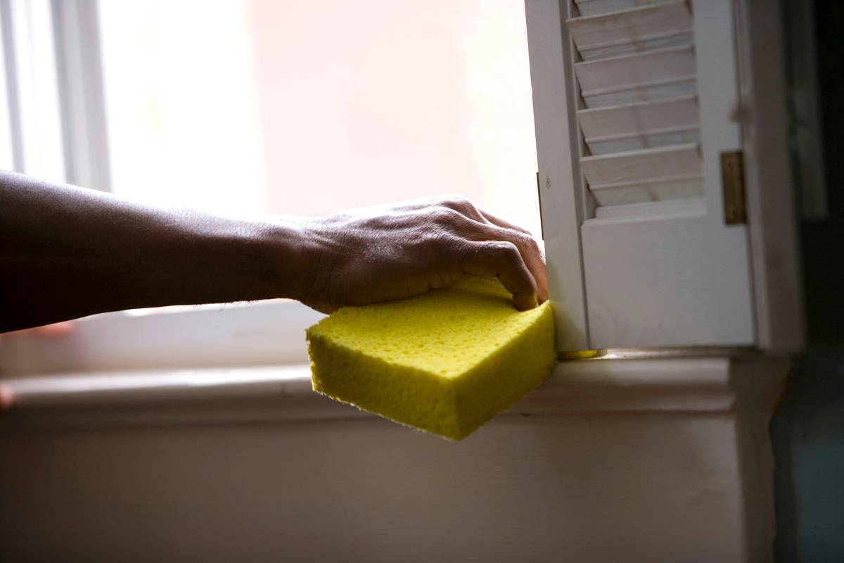 Natural Organic Sea Sponge: 7 Proven Reasons to Ditch Synthetic Sponges Today